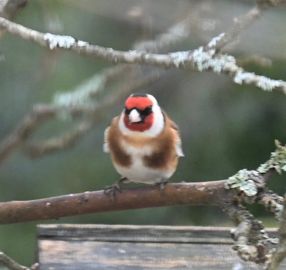 Valokuvaaja: Emilia Miettinen