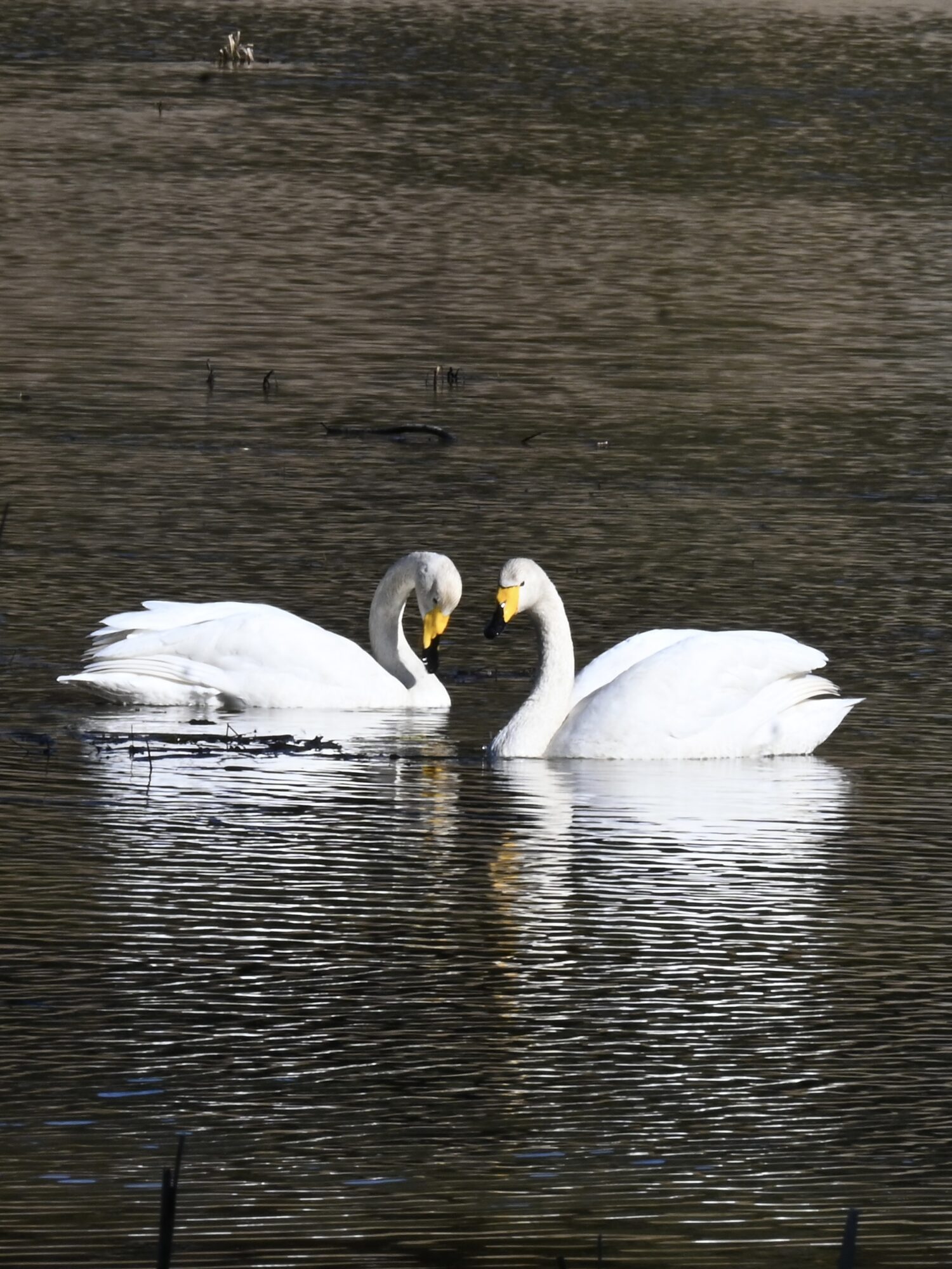 Valokuvaaja: Emilia Miettinen