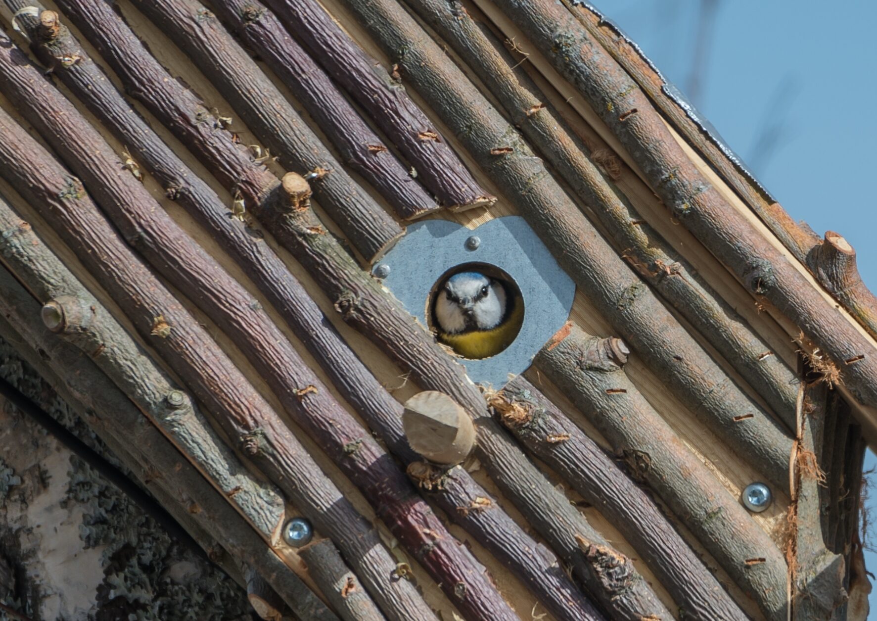 Valokuvaaja: Markku Saarinen