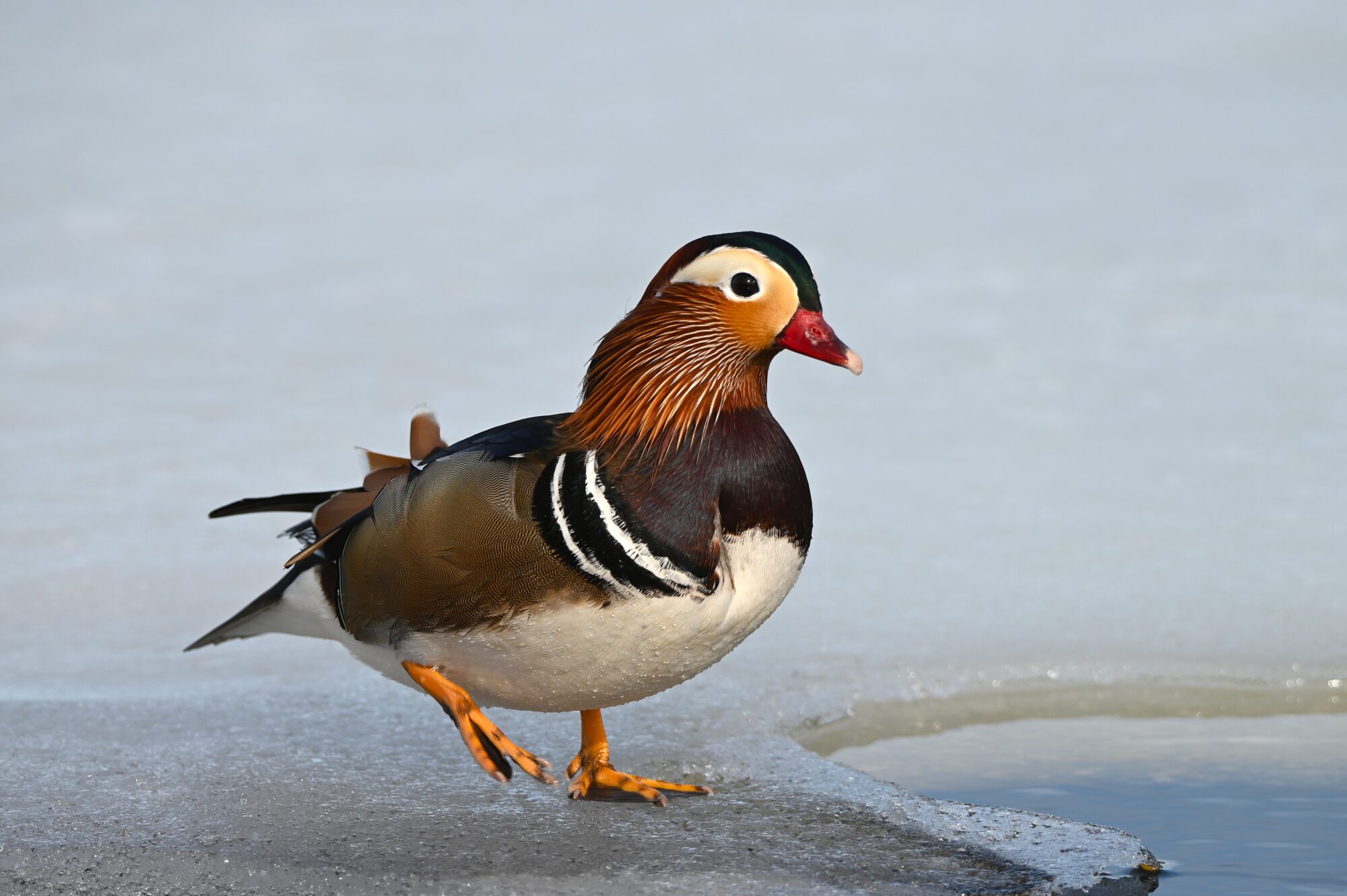 Valokuvaaja: Maarit Siitonen