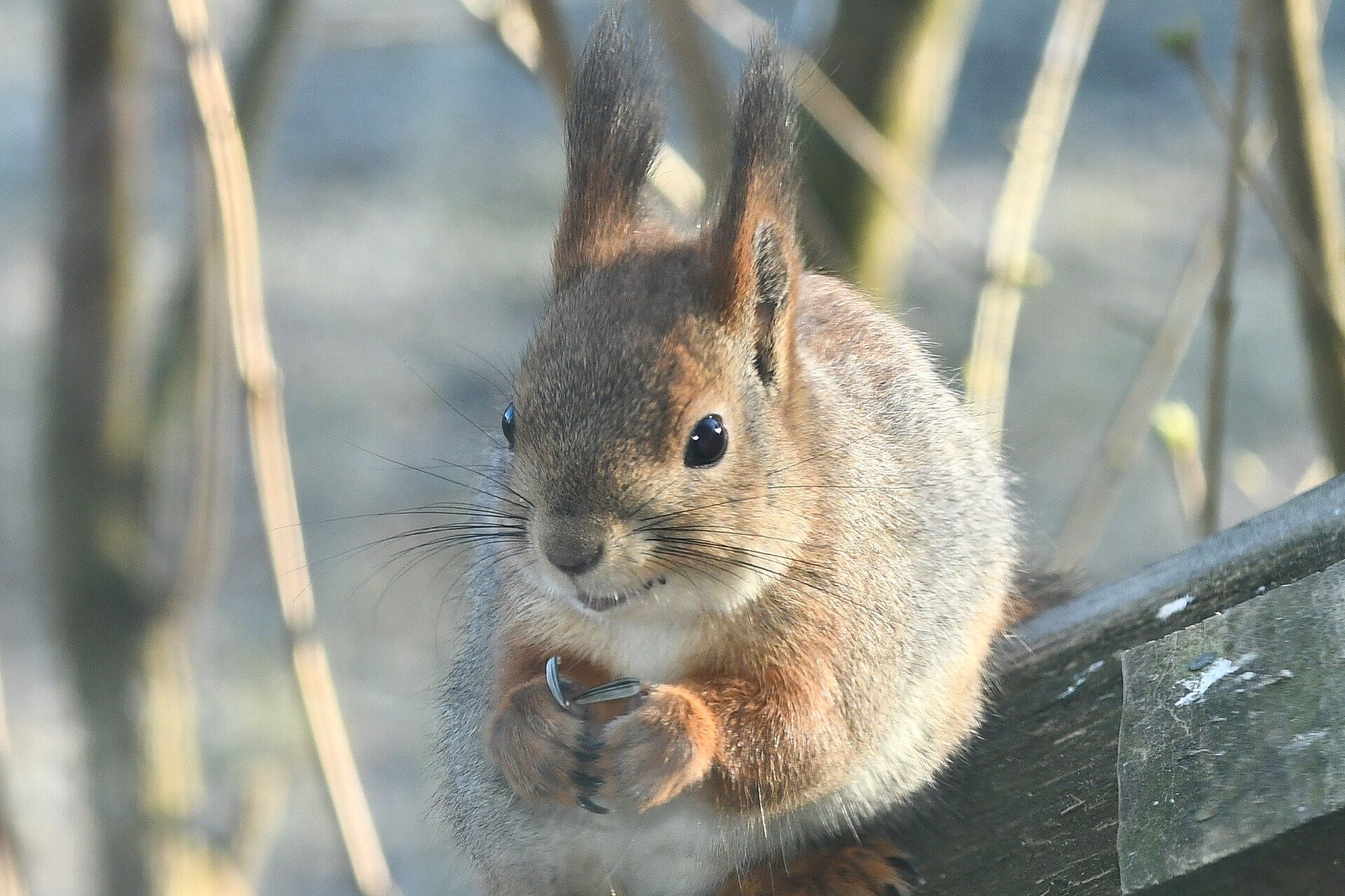 Valokuvaaja: Antti Kaskinen