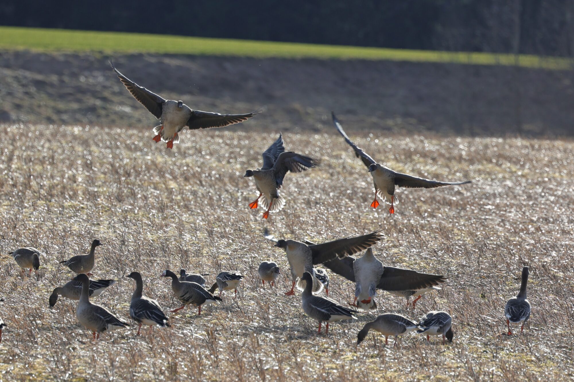 Valokuvaaja: Ari Lempiäinen