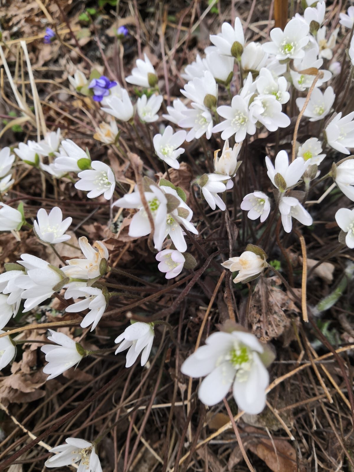 Valokuvaaja: Mari Skogberg