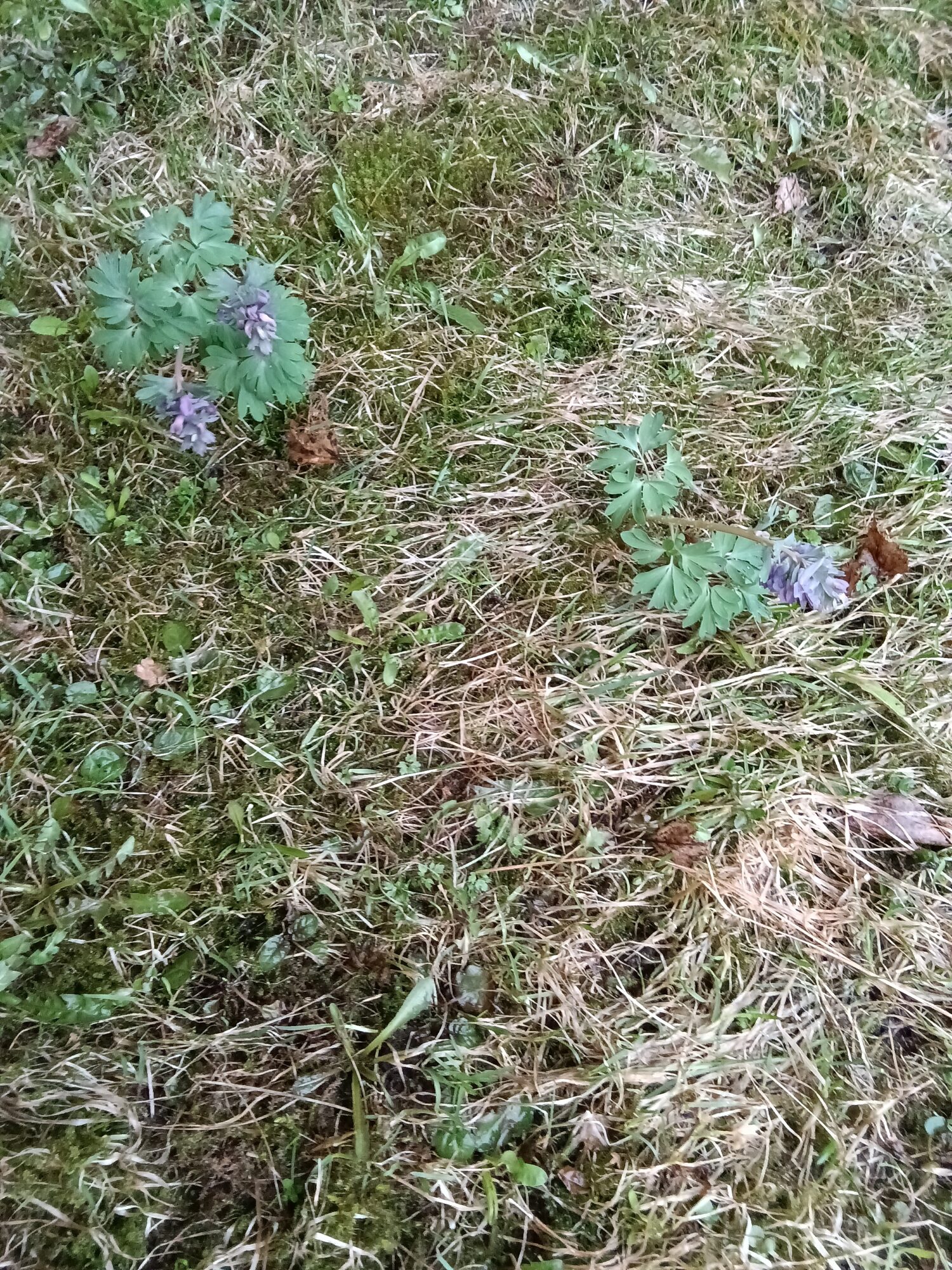 Valokuvaaja: Eija Johanna Saastamoinen