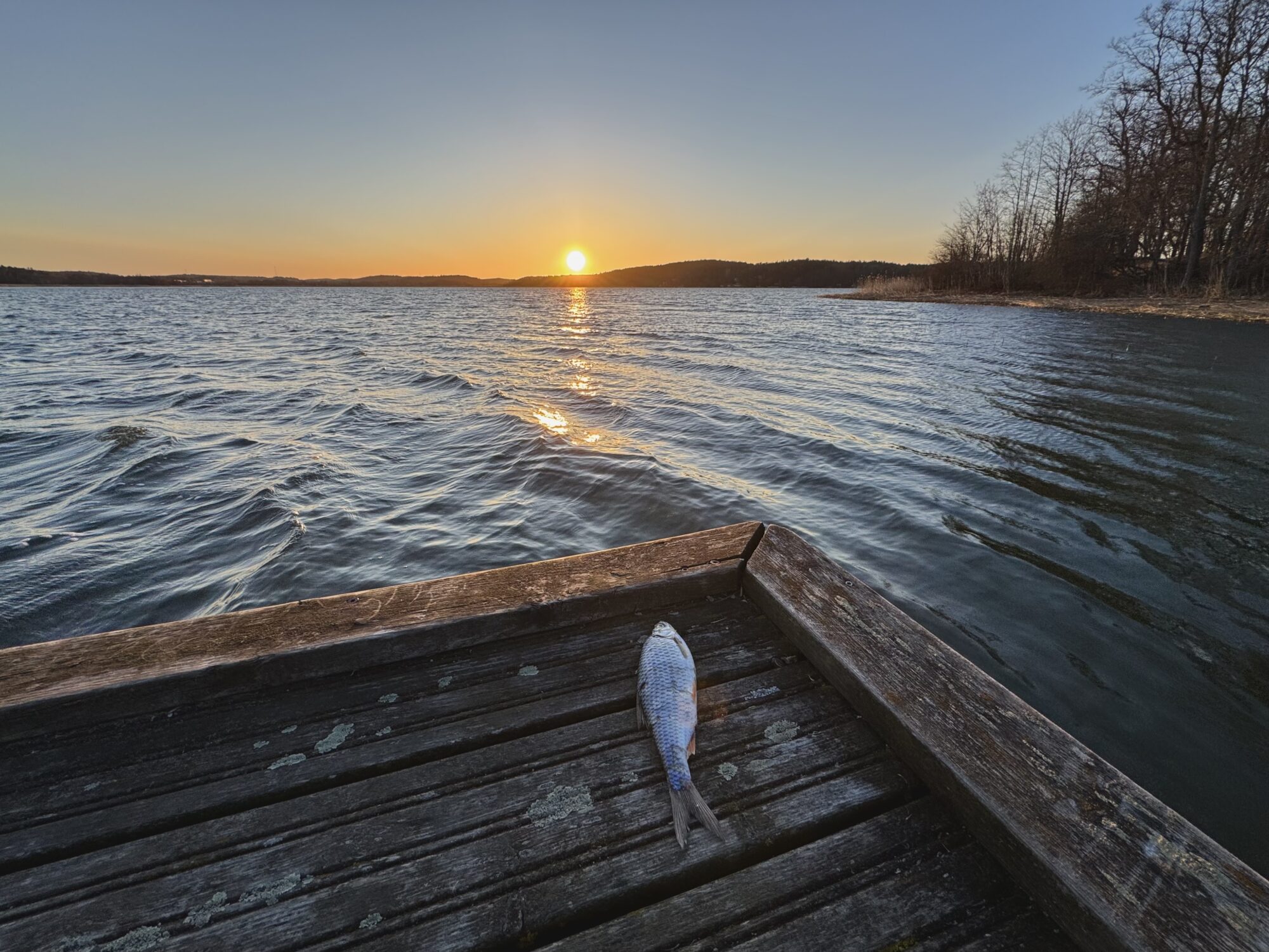 Valokuvaaja: Juhani Peltonen