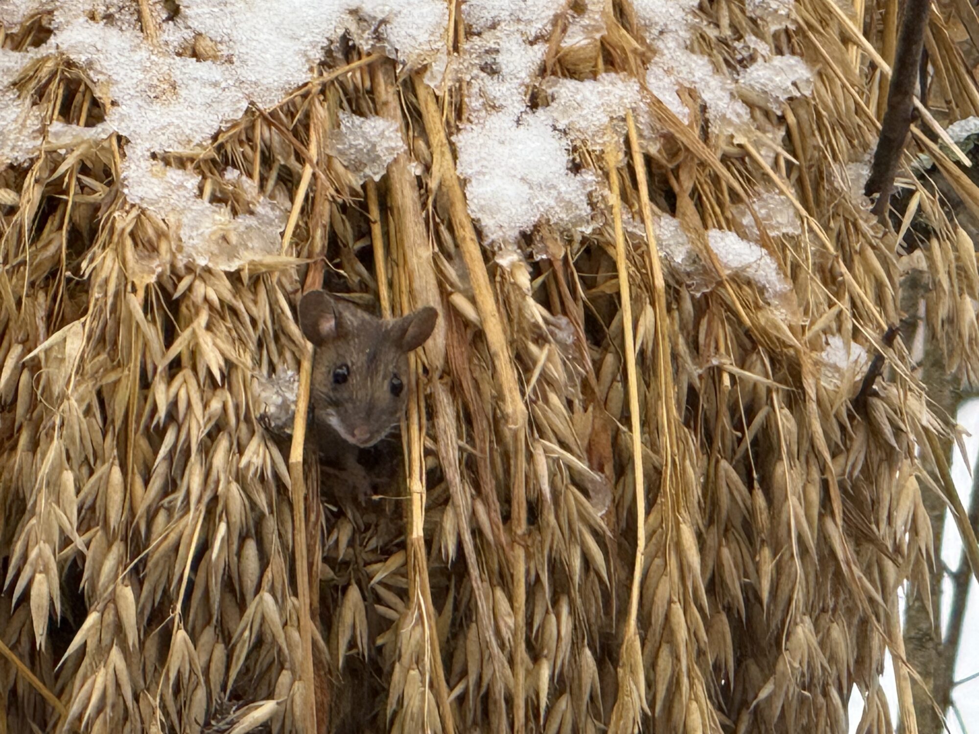 Valokuvaaja: Tuuli Rossi