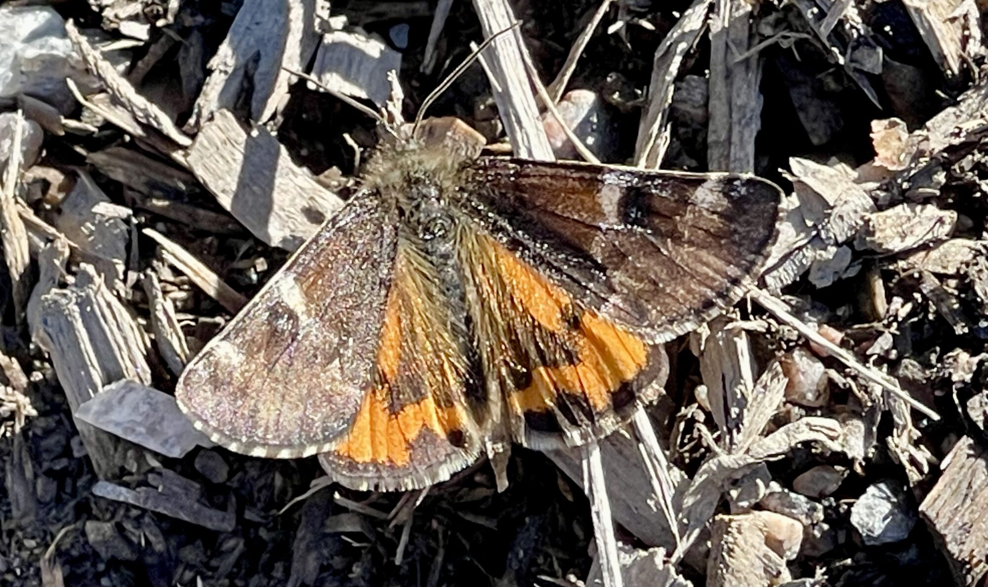 Valokuvaaja: Liisa Niiva-Korpela