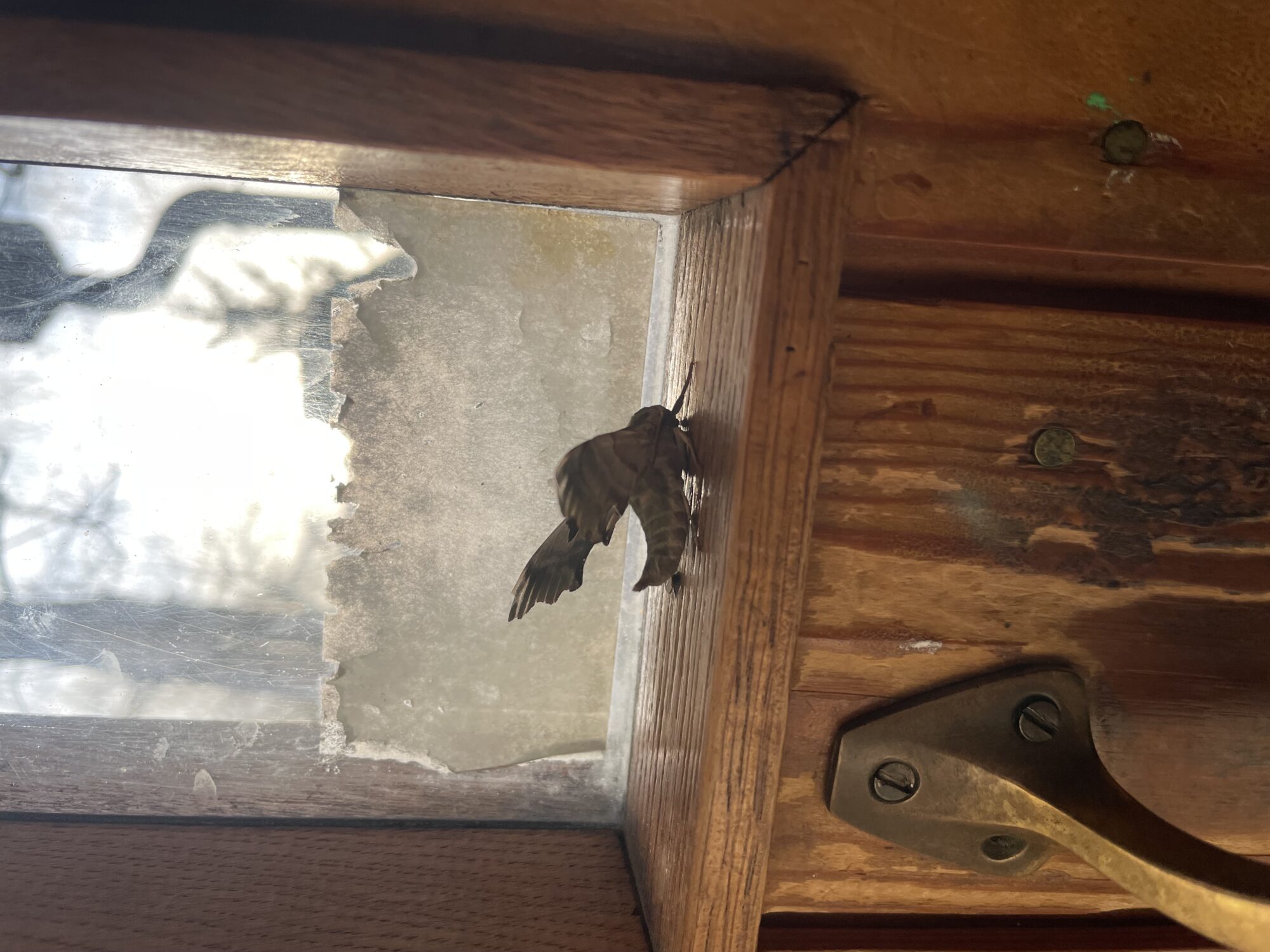 Valokuvaaja: Maija Kaarna