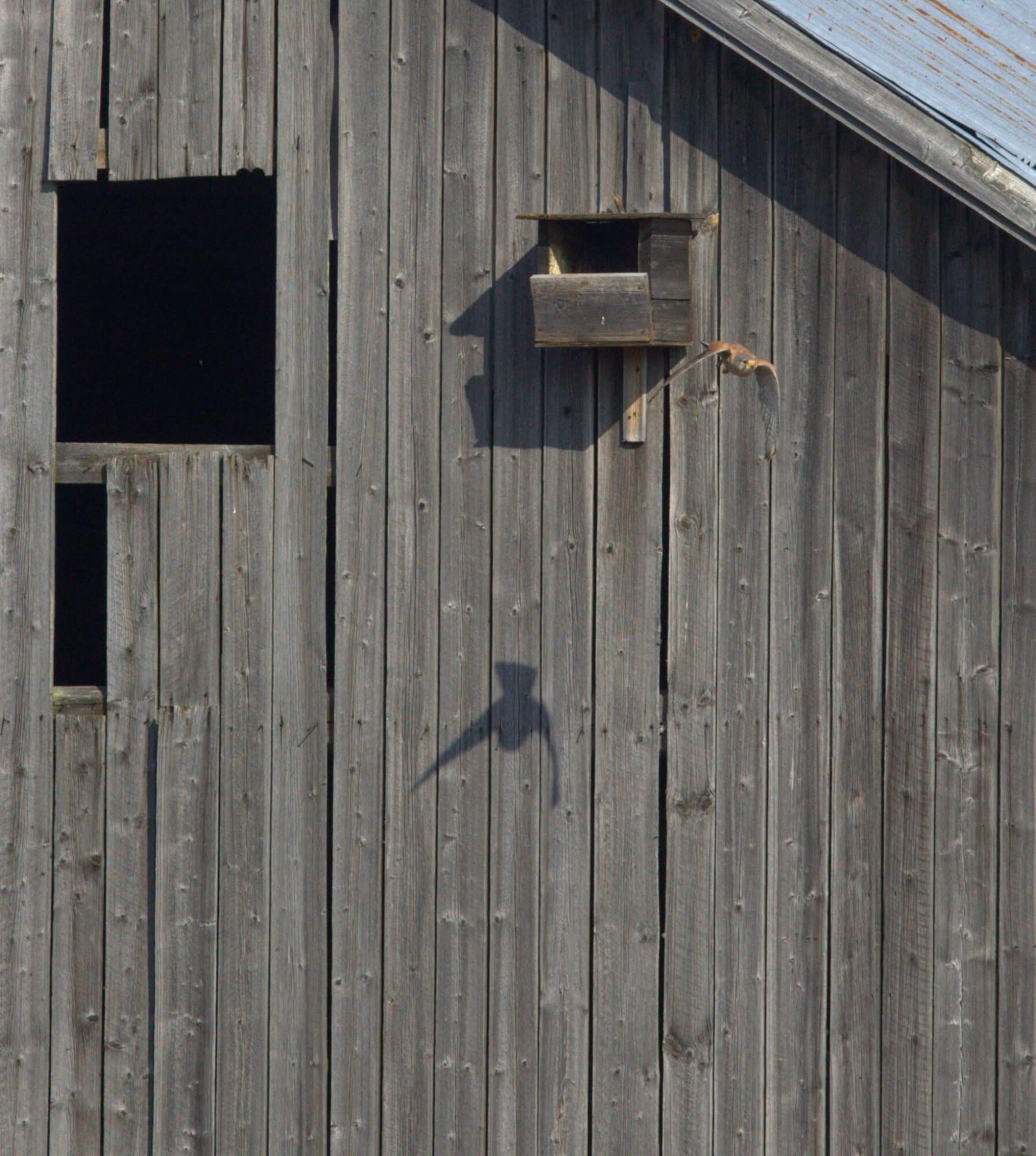 Valokuvaaja: Tapio Keinonen