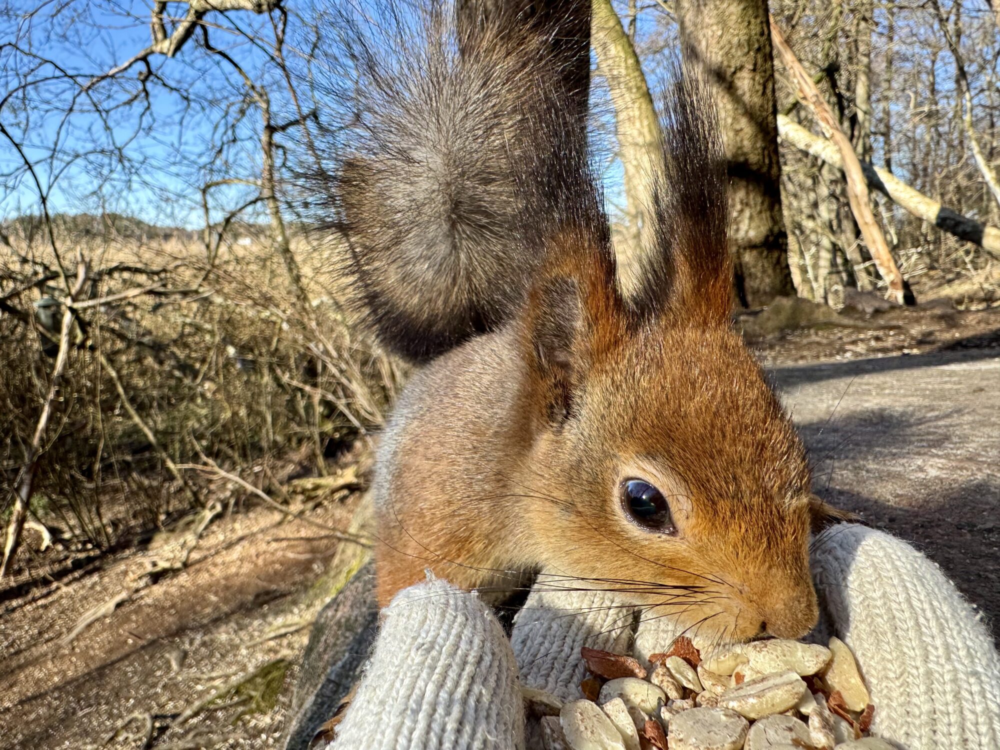 Valokuvaaja: Juhani Peltonen
