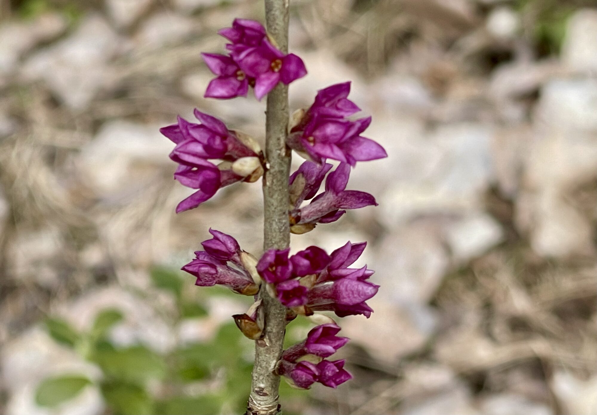 Valokuvaaja: Liisa Niiva-Korpela