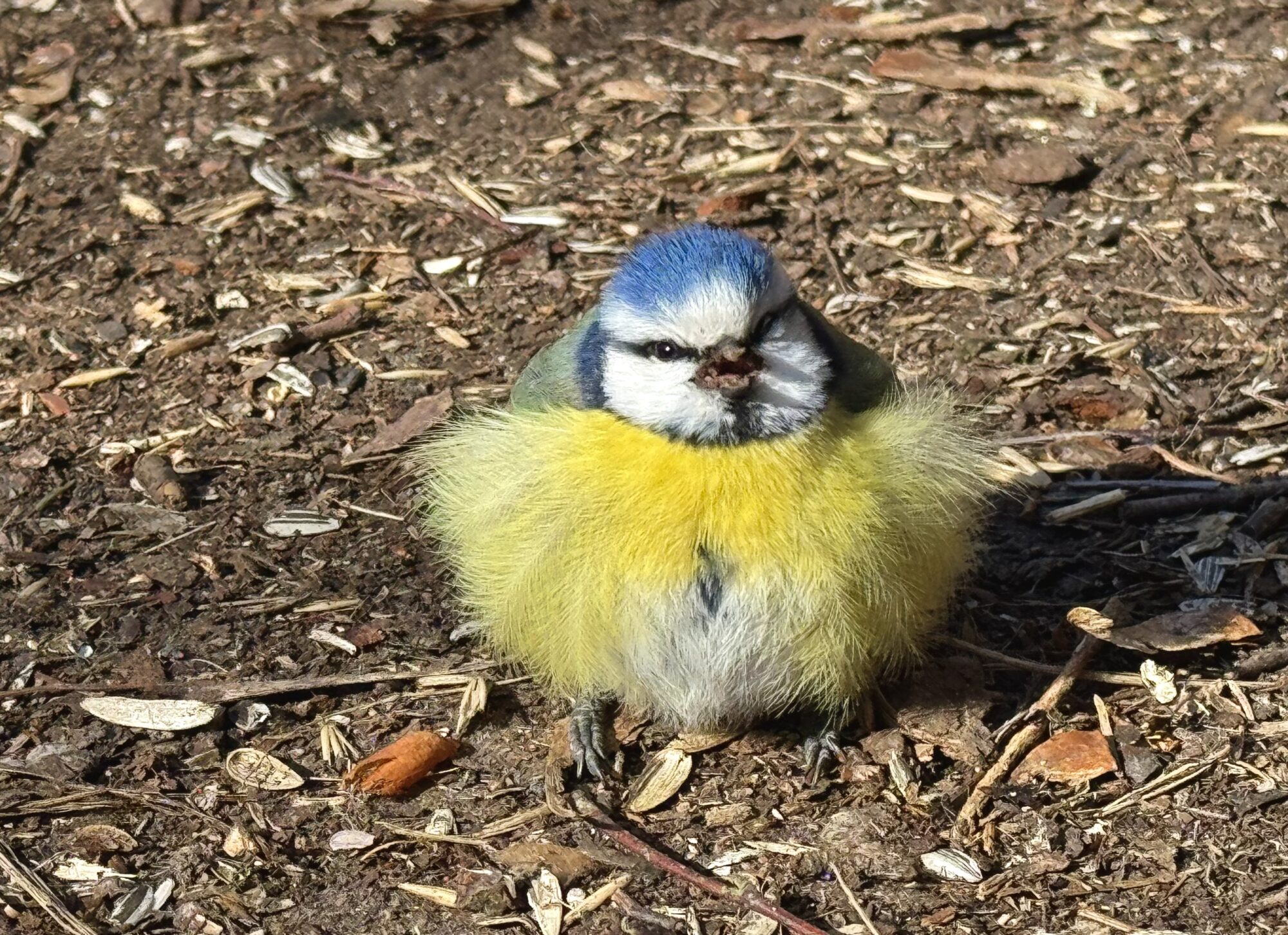 Valokuvaaja: Juhani Peltonen