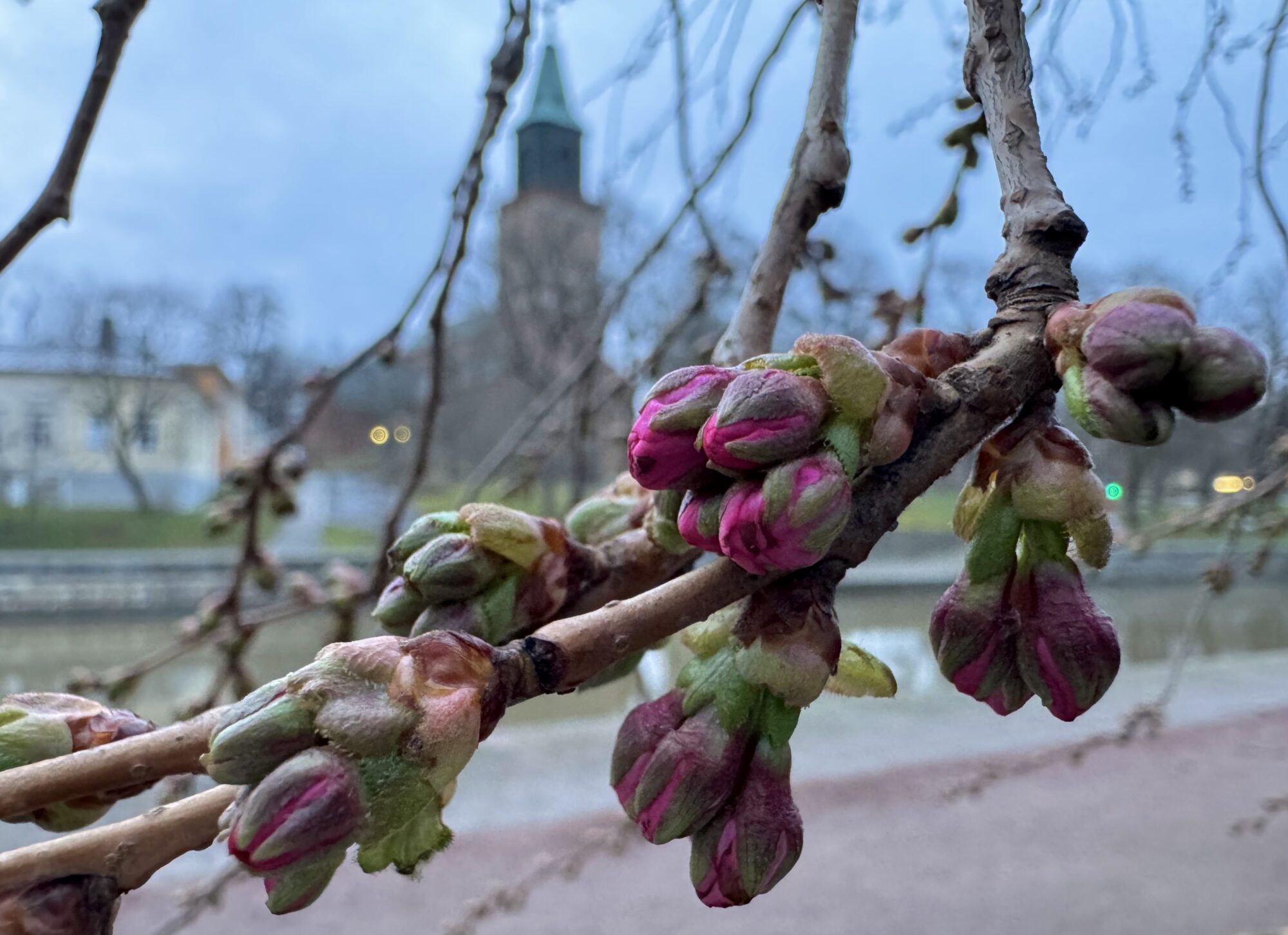 Valokuvaaja: Juhani Peltonen