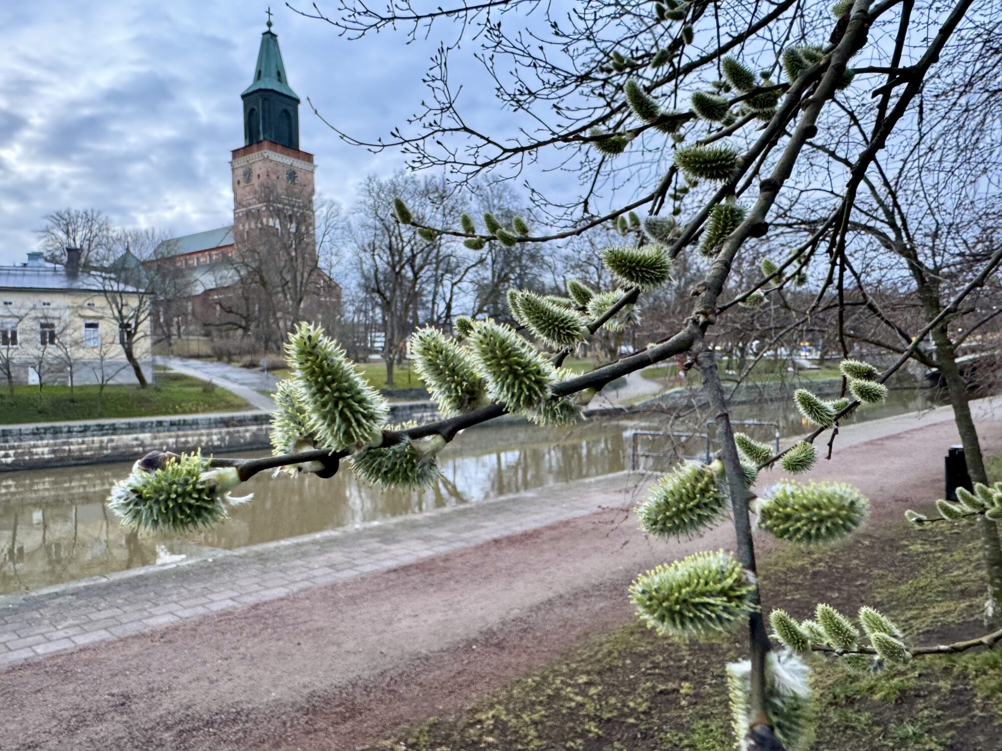 Valokuvaaja: Juhani Peltonen