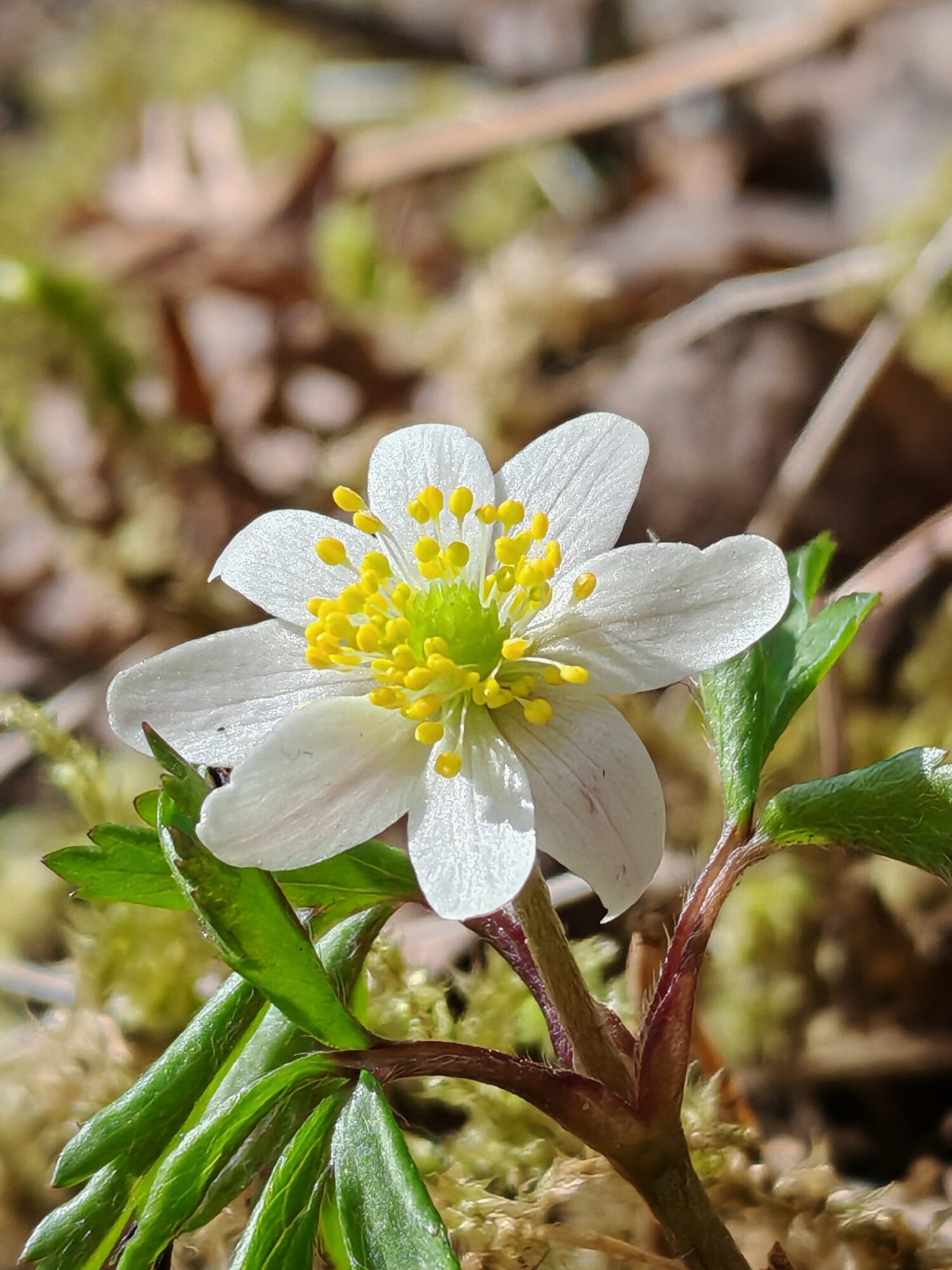 Valokuvaaja: Riitta Marjamäki