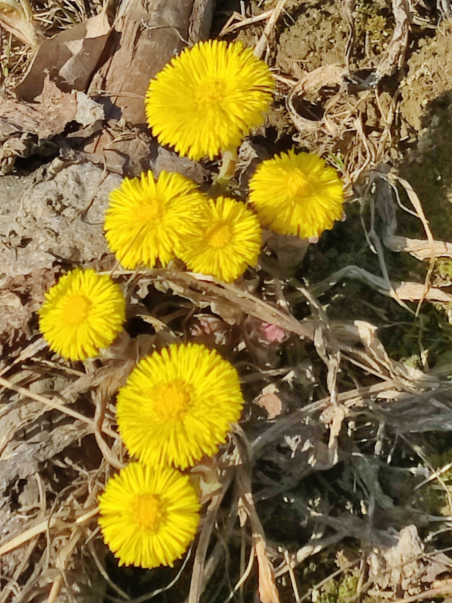 Valokuvaaja: Marita Lahtinen