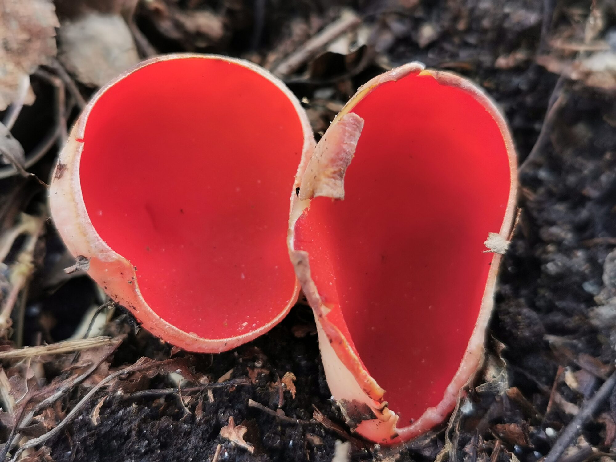 Valokuvaaja: Satu Kuningas