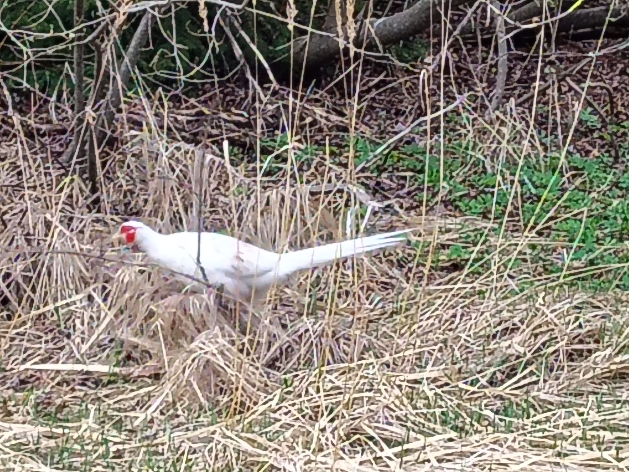 Valokuvaaja: Esa Takkinen