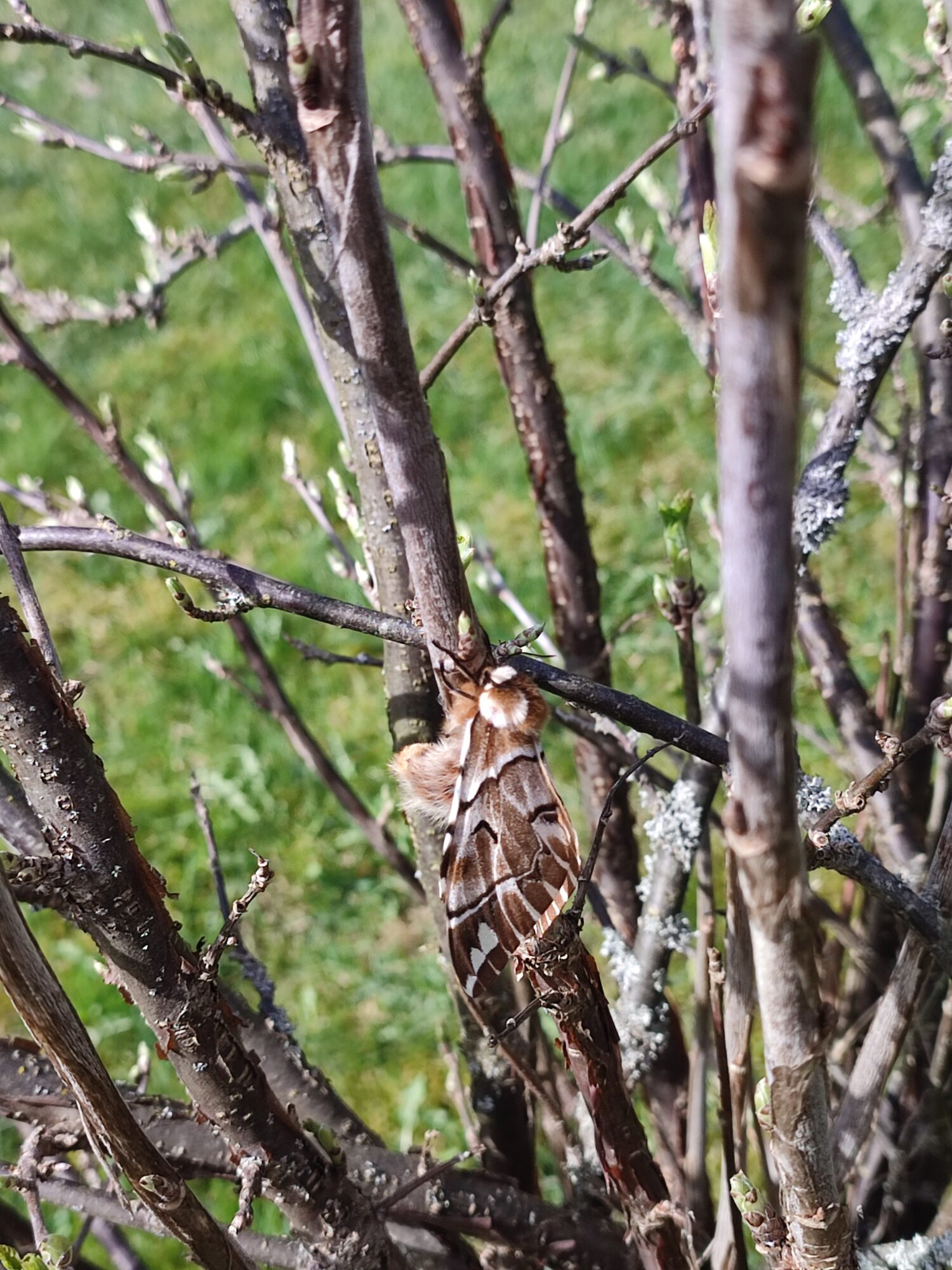 Valokuvaaja: Mari Tammisto