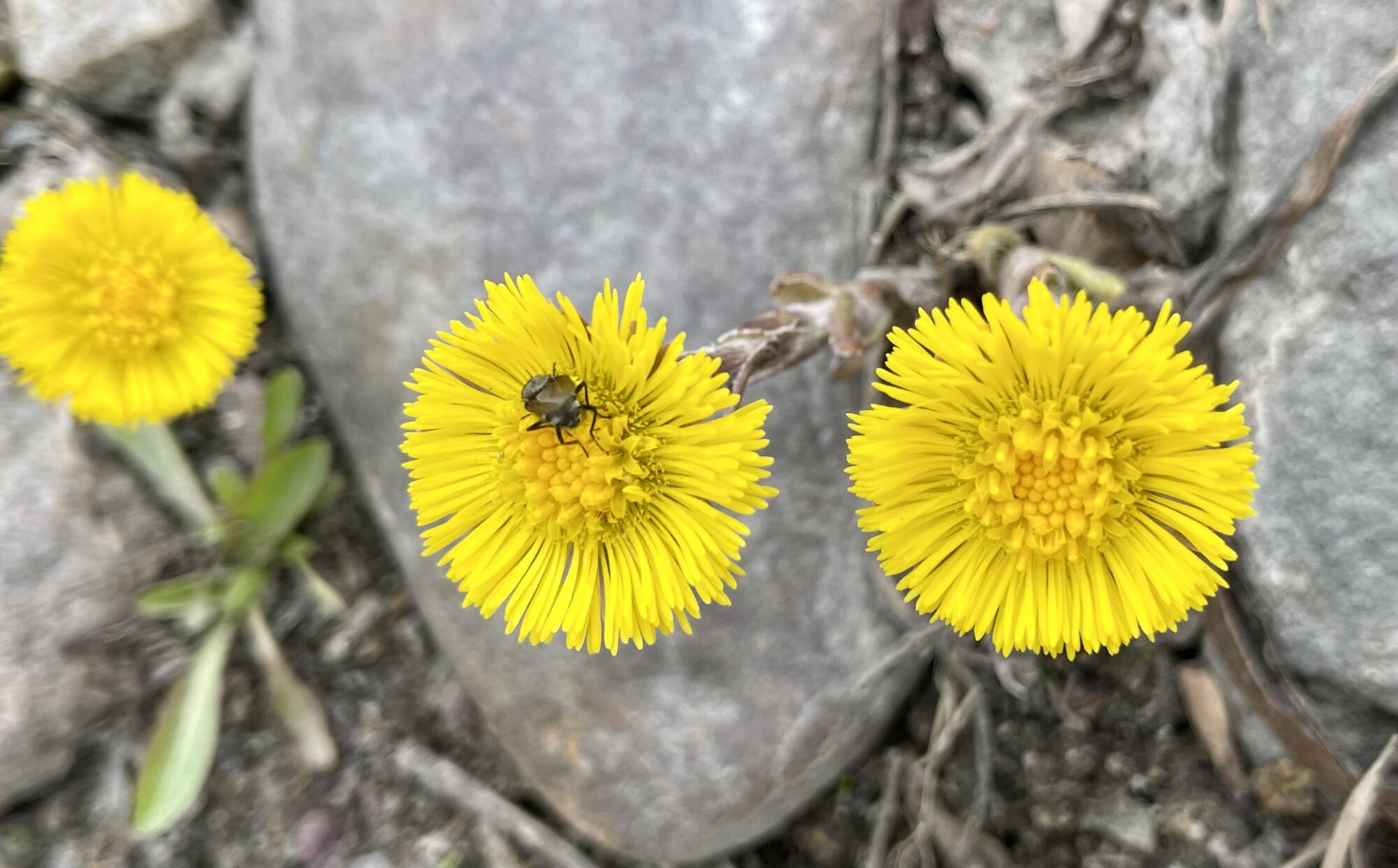 Valokuvaaja: Liisa Niiva-Korpela