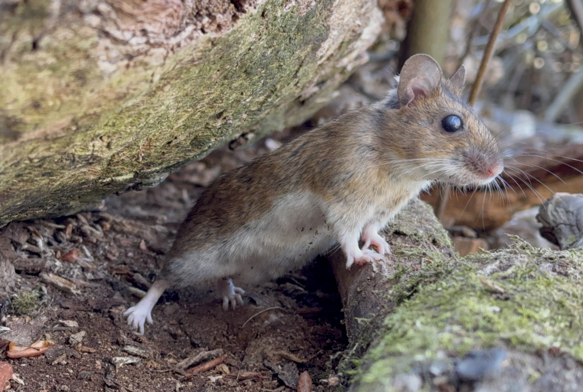 Valokuvaaja: Juhani Peltonen