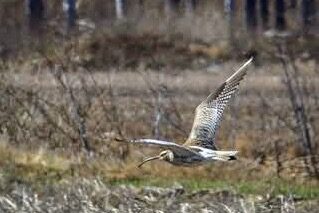 Valokuvaaja: Tapio Keinonen