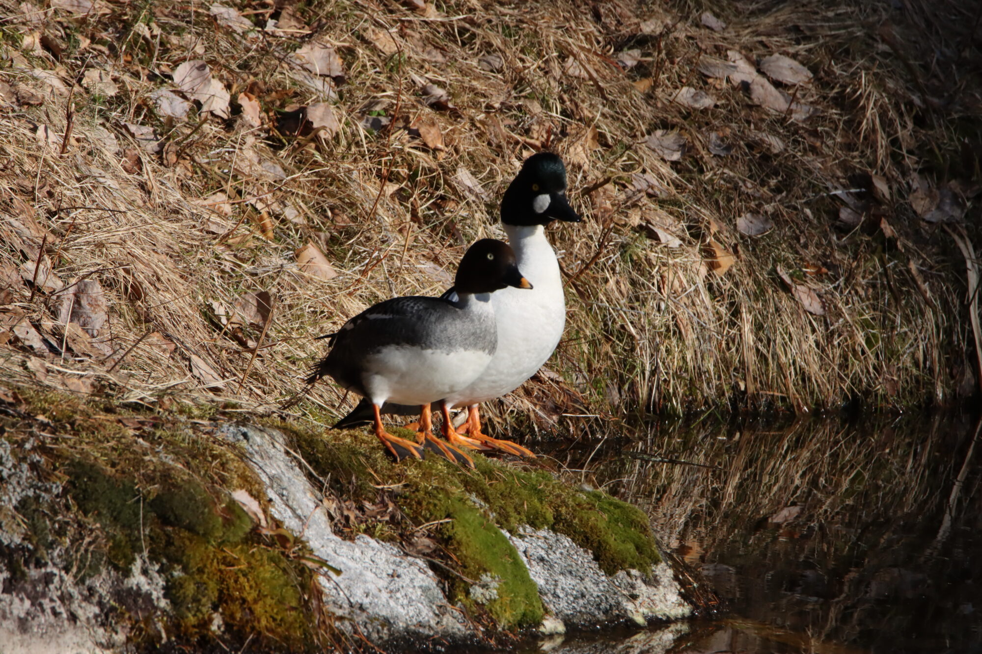 Valokuvaaja: Hannu Rasiranta