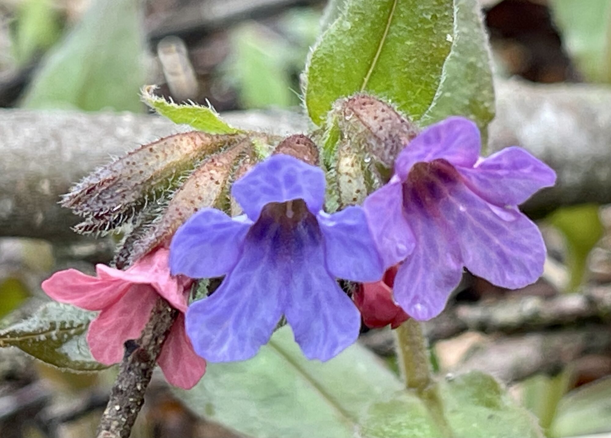 Valokuvaaja: Liisa Niiva-Korpela
