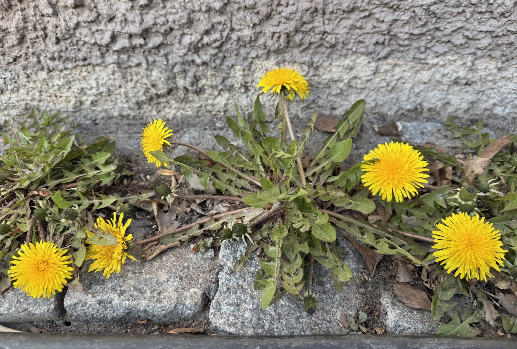 Valokuvaaja: Juhani Peltonen