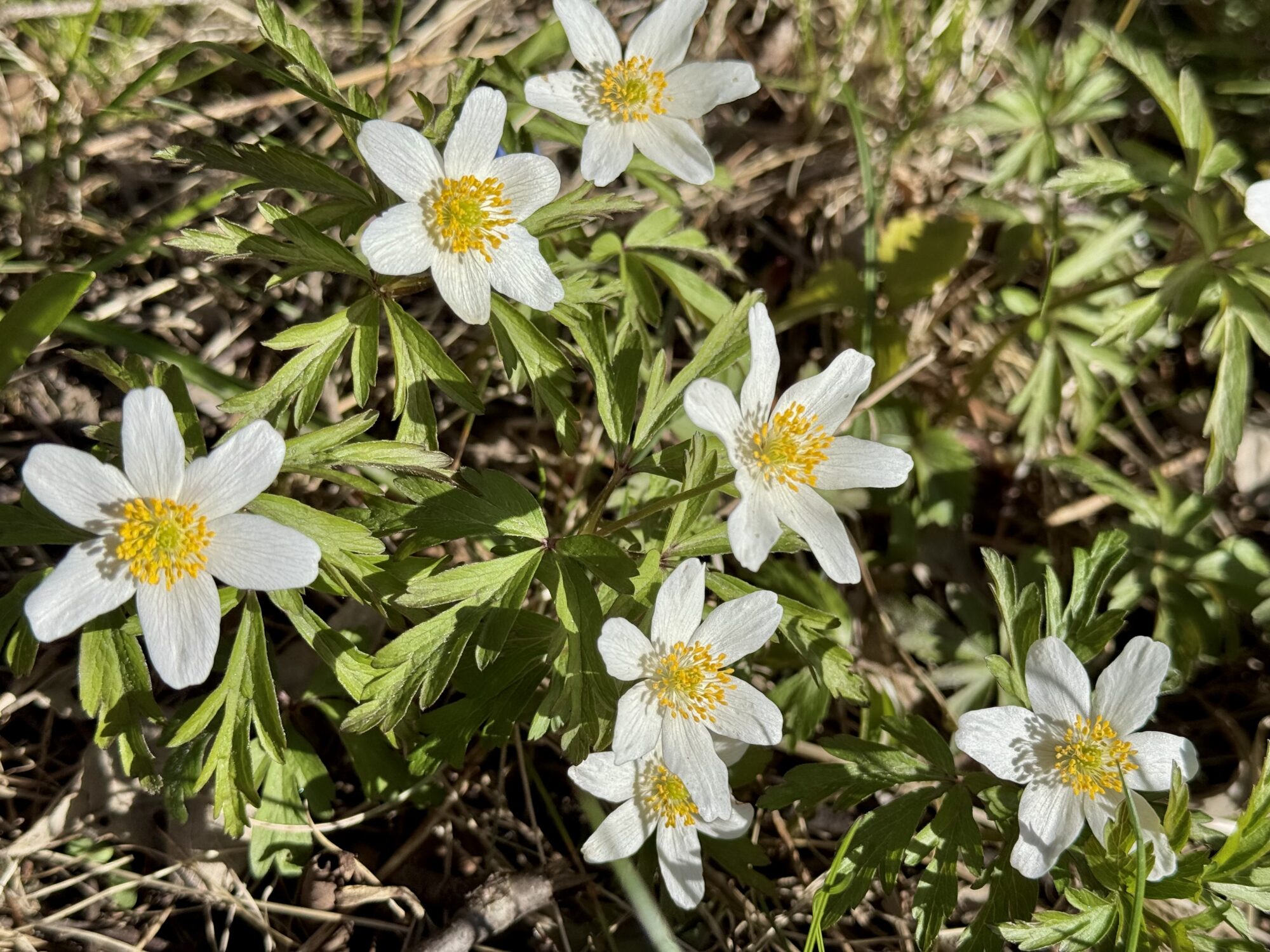 Valokuvaaja: Juhani Peltonen