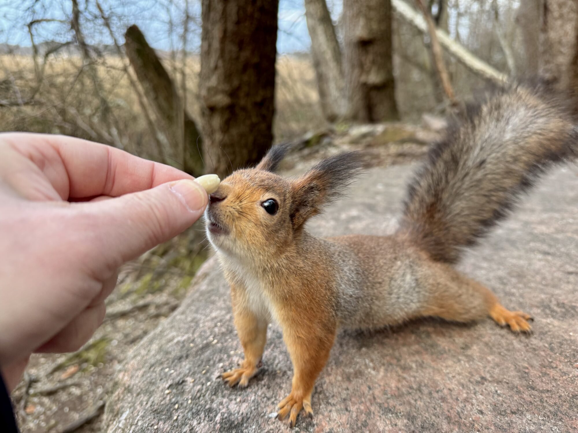 Valokuvaaja: Juhani Peltonen