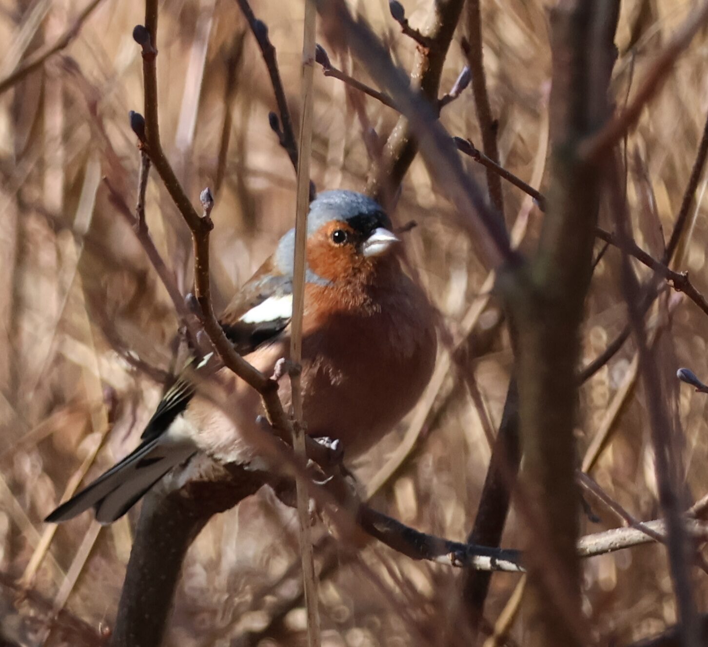 Valokuvaaja: Hanna Rönty