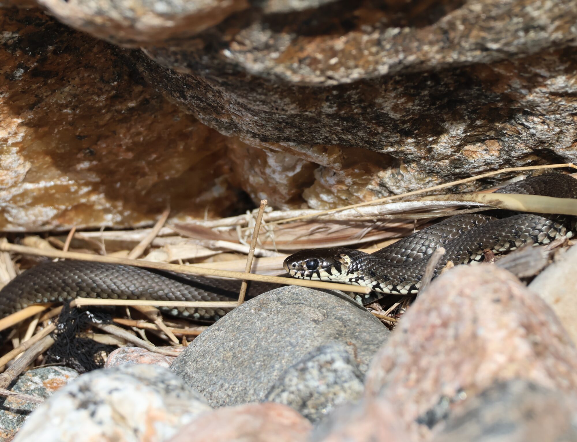 Valokuvaaja: Hanna Rönty