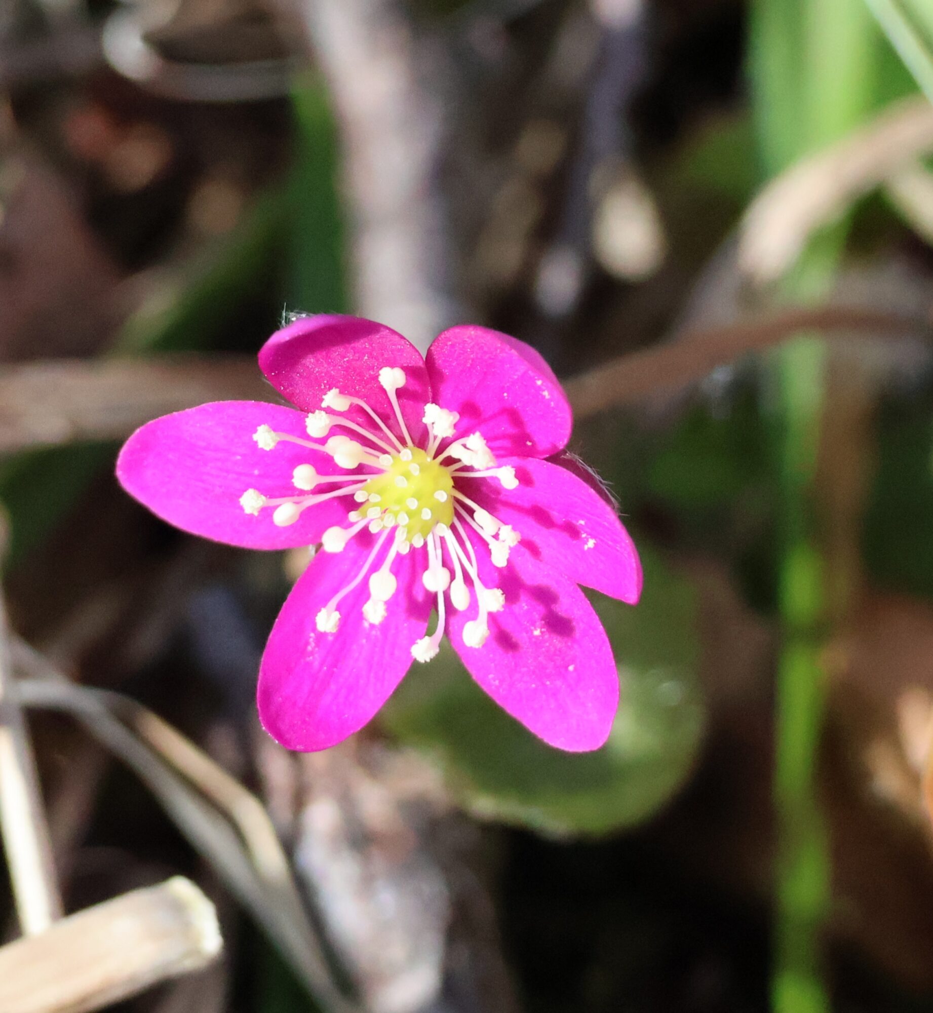 Valokuvaaja: Hanna Rönty