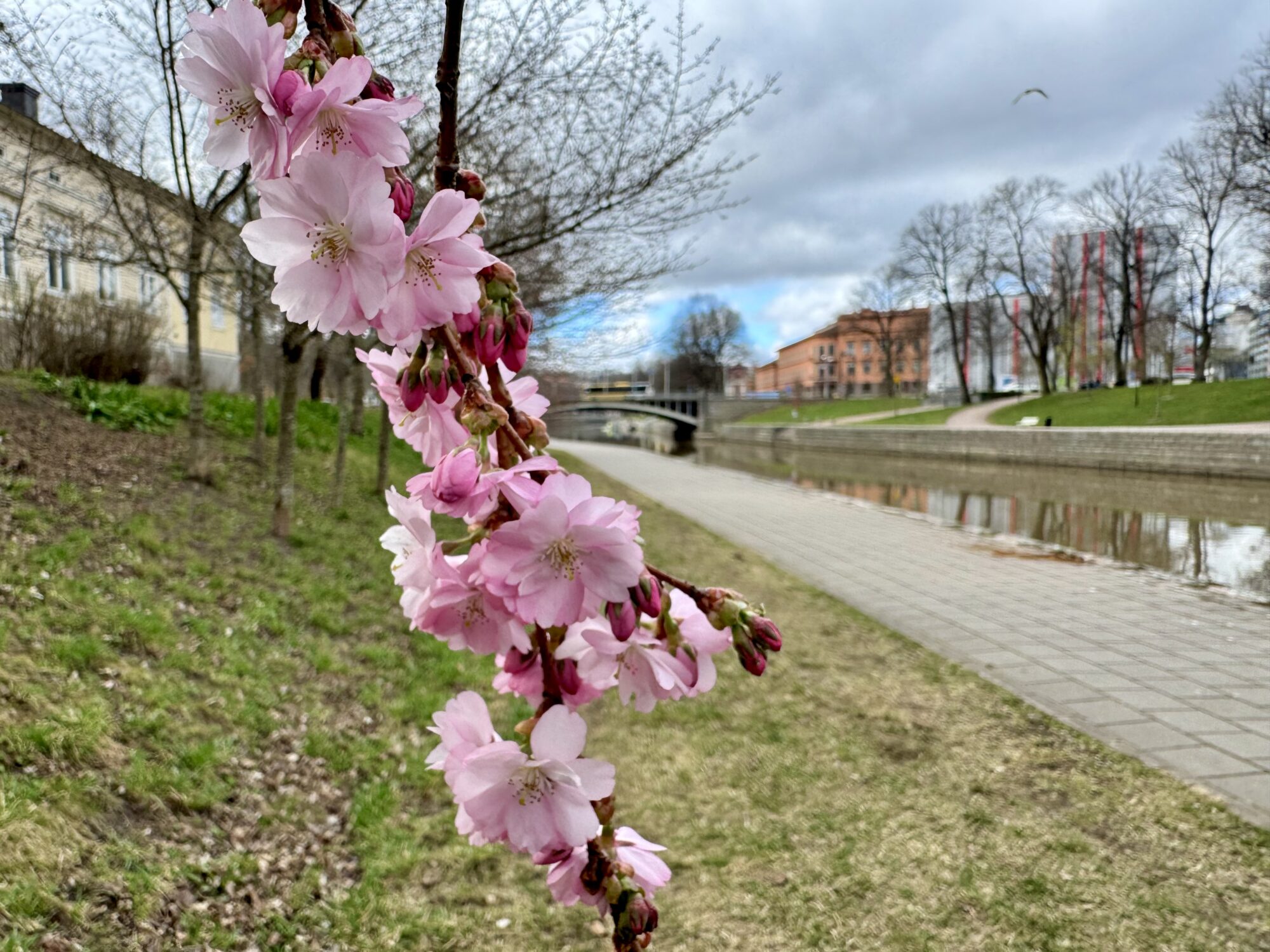 Valokuvaaja: Juhani Peltonen