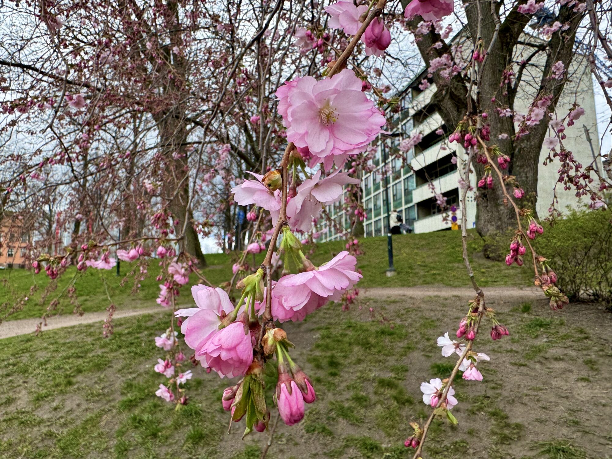 Valokuvaaja: Juhani Peltonen