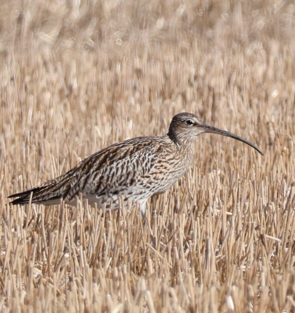 Valokuvaaja: Hanna Rönty