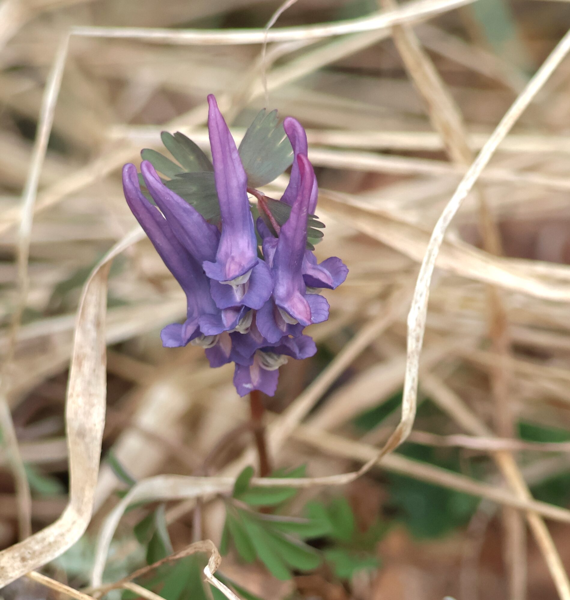 Valokuvaaja: Hanna Rönty