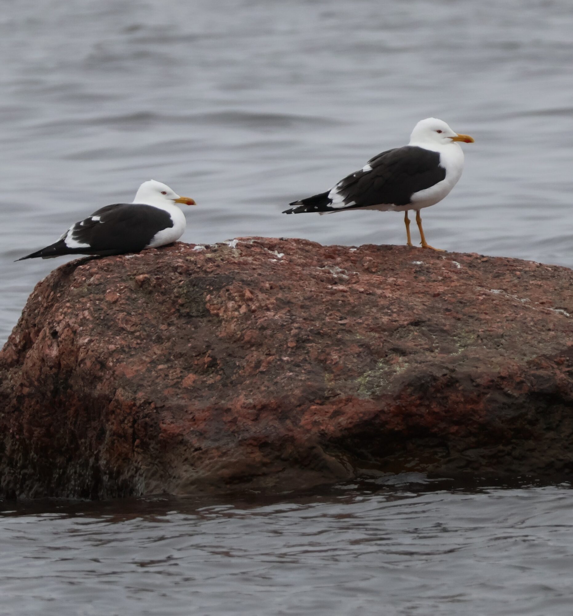 Valokuvaaja: Hanna Rönty