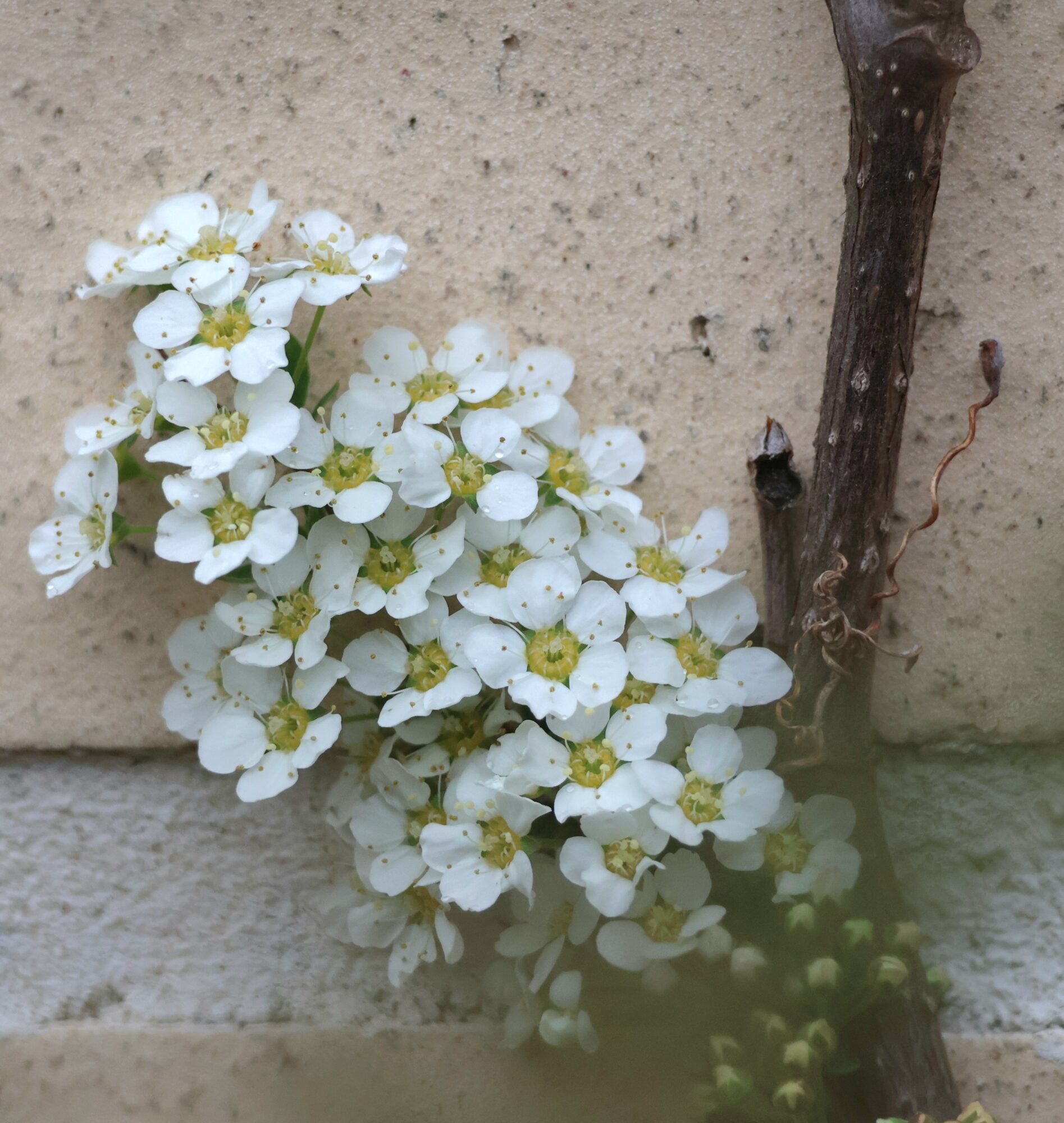 Valokuvaaja: Hanna Rönty