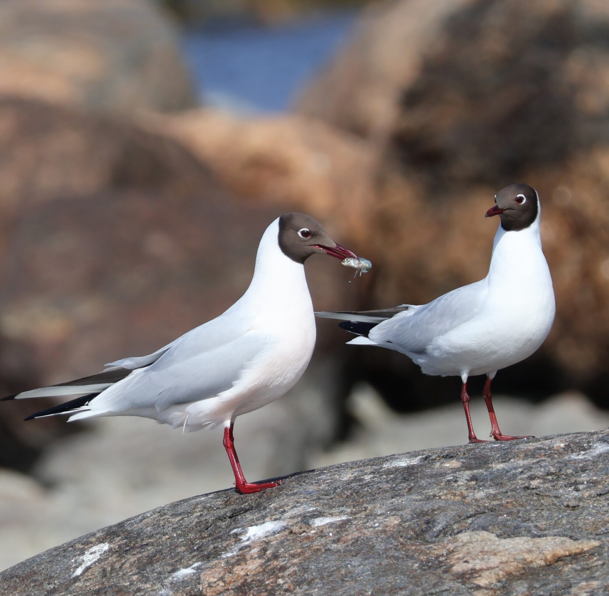 Valokuvaaja: Hanna Rönty