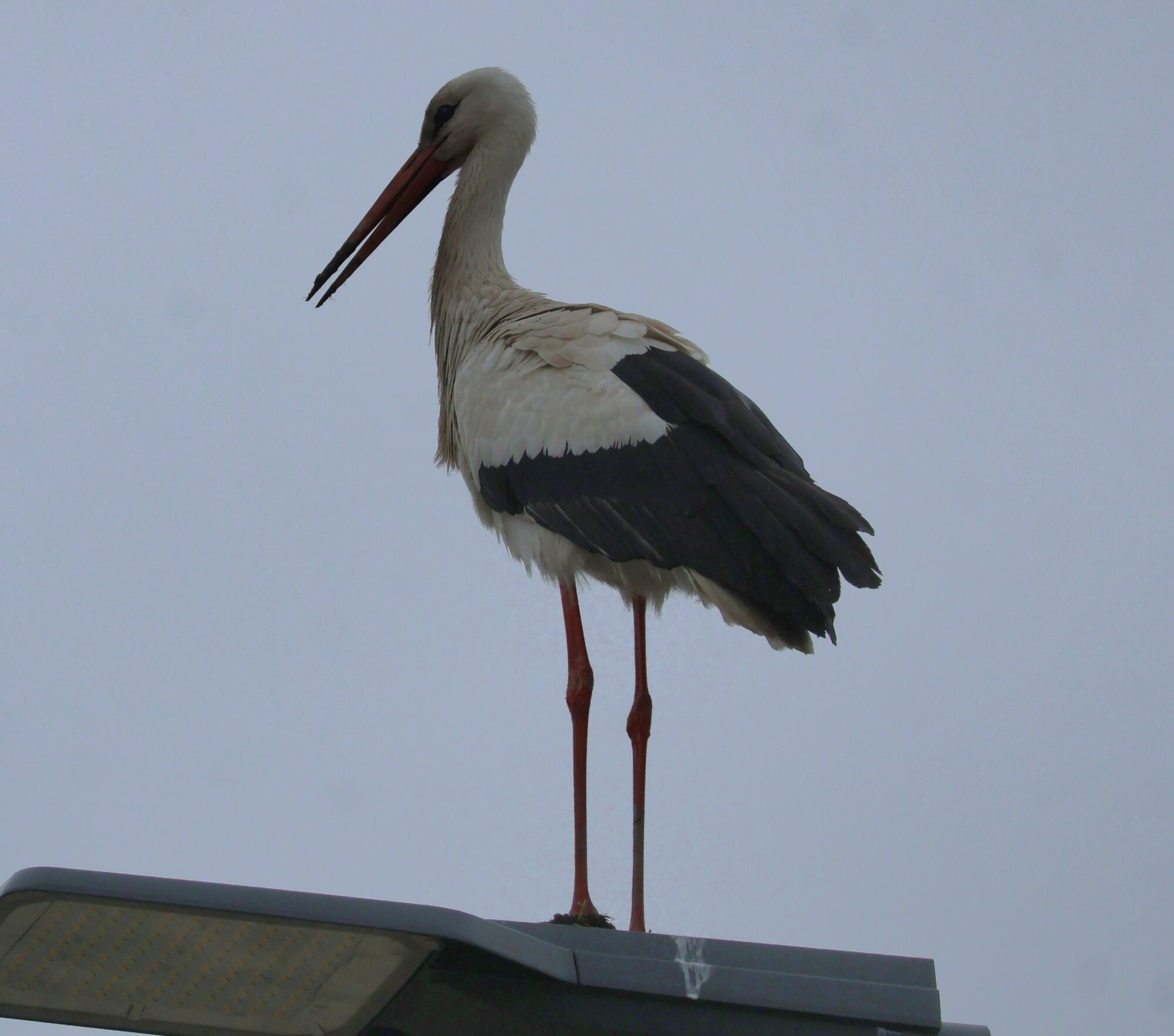 Valokuvaaja: Hanna Rönty