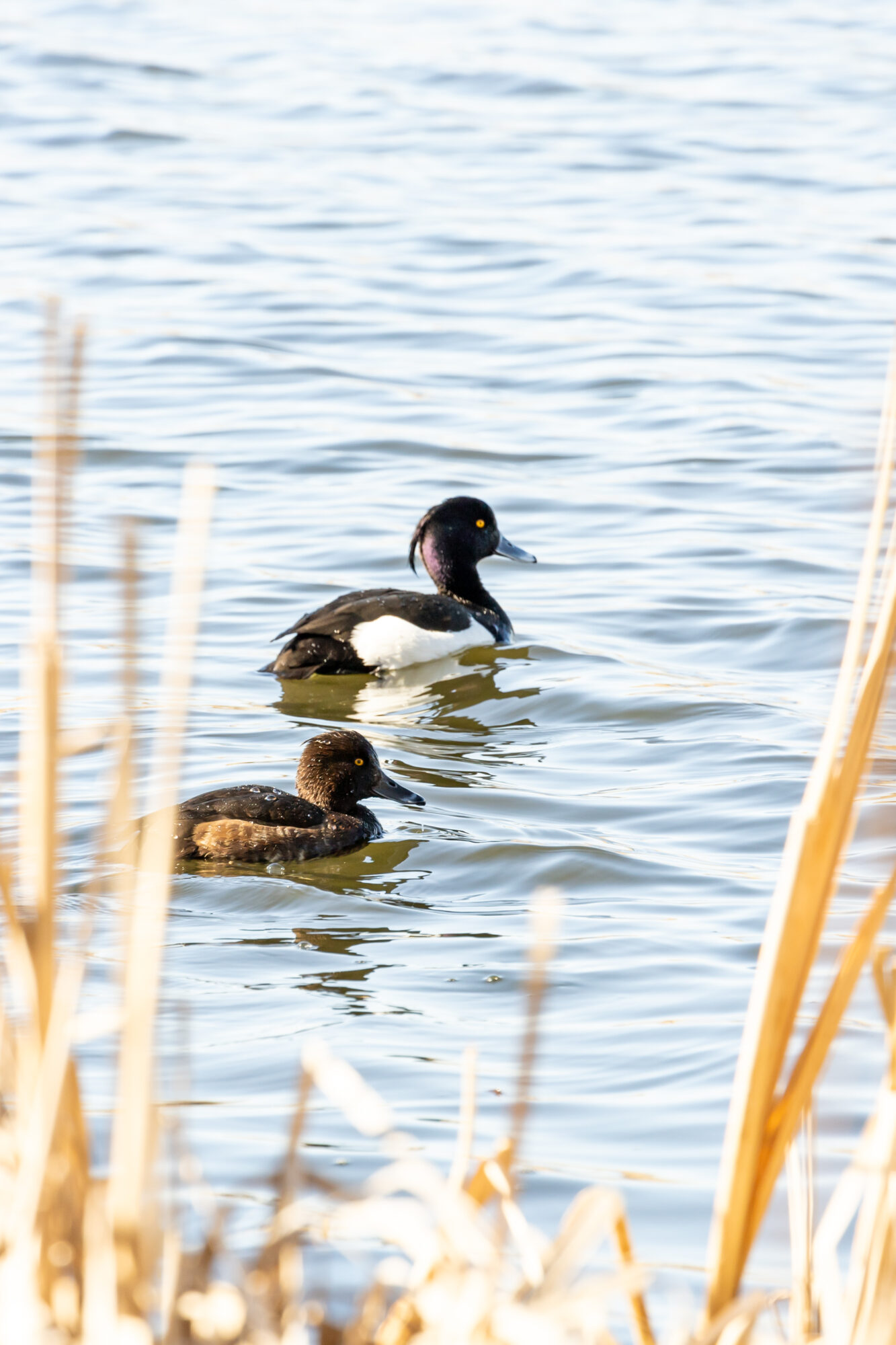 Valokuvaaja: Eija Lindström