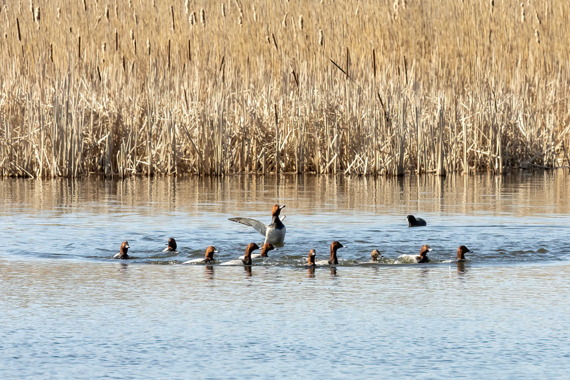 Valokuvaaja: Eija Lindström