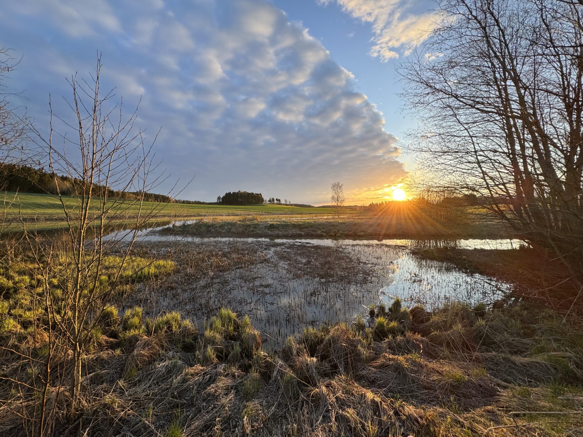 Valokuvaaja: Juhani Peltonen