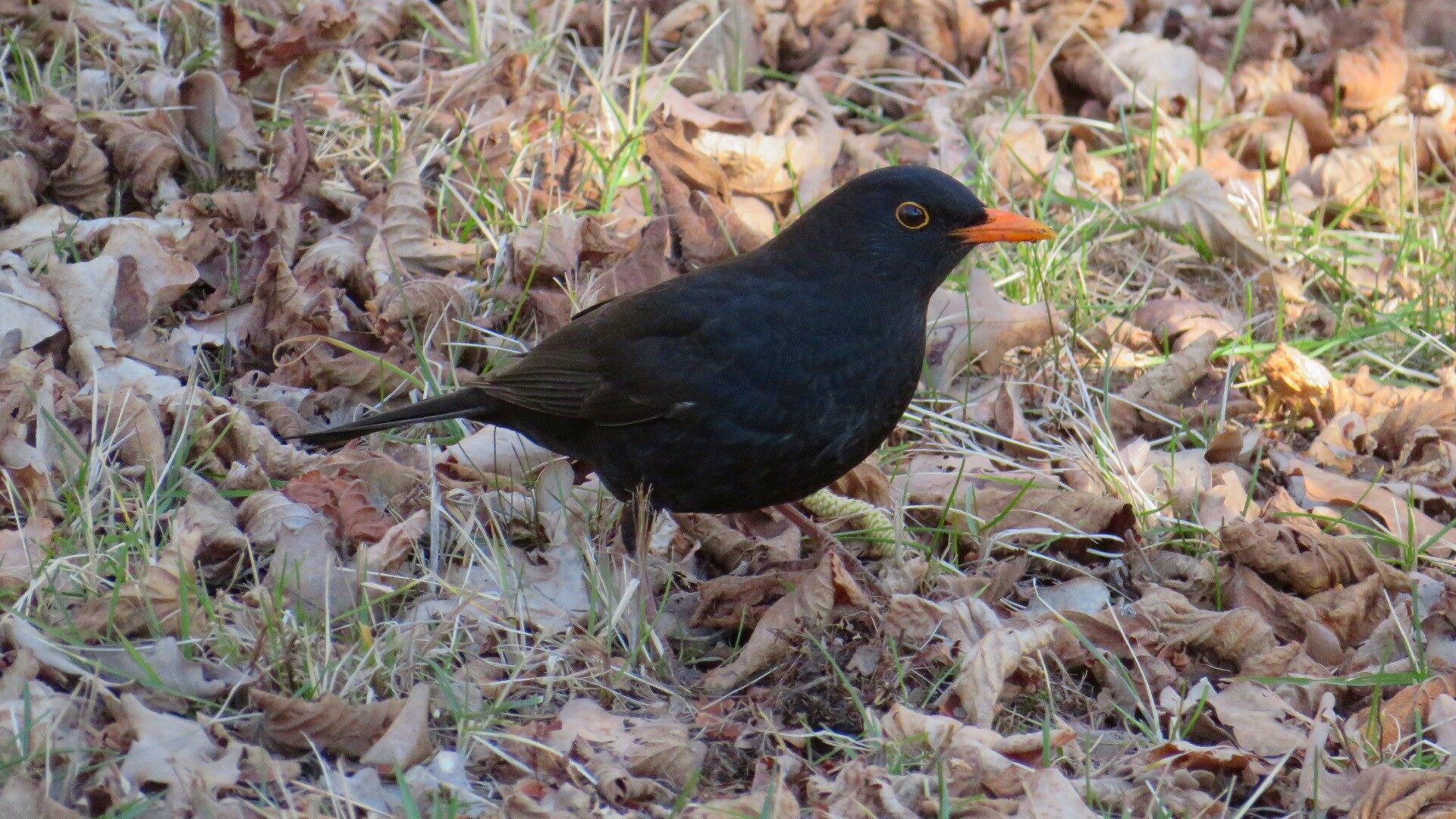 Valokuvaaja: Risto Kangassalo