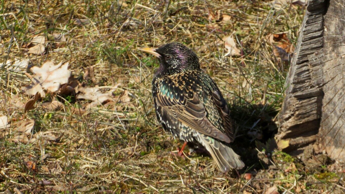 Valokuvaaja: Risto Kangassalo
