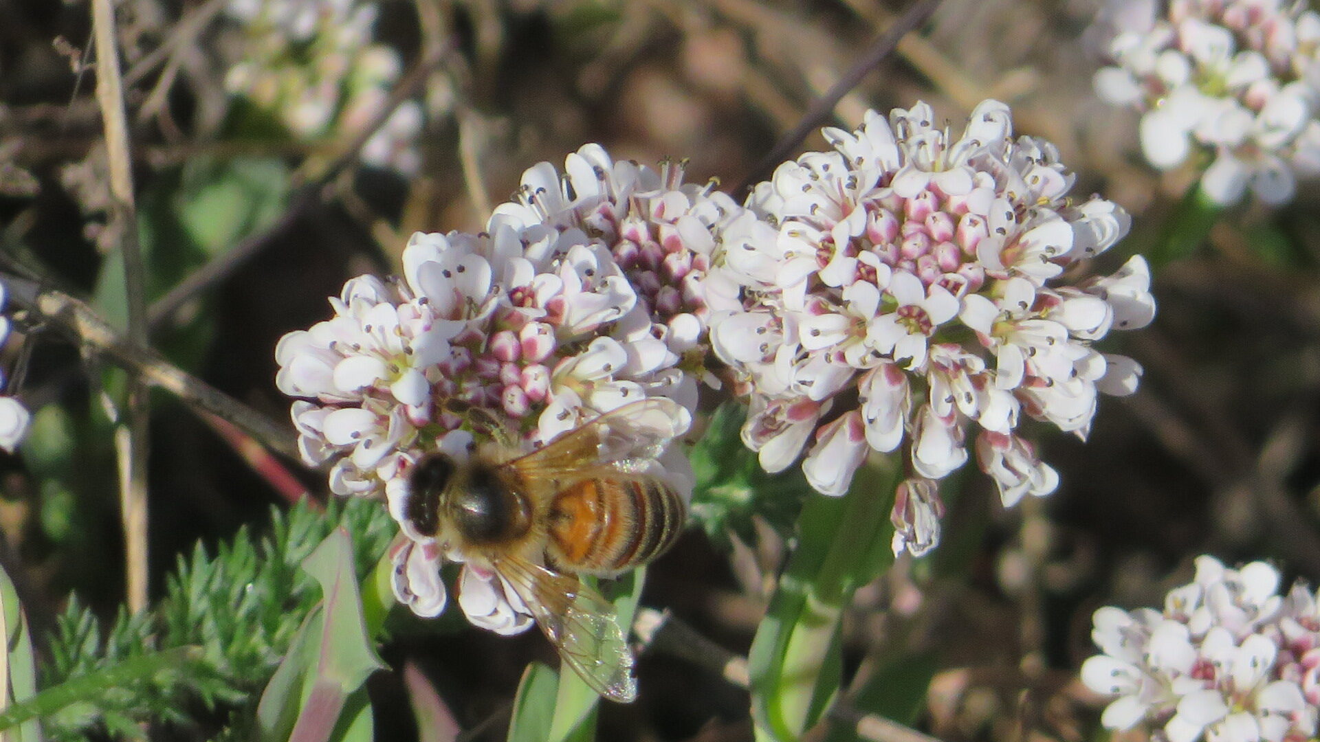 Valokuvaaja: Risto Kangassalo
