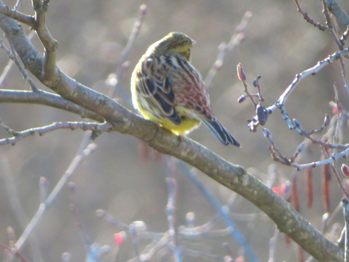 Valokuvaaja: Risto Kangassalo