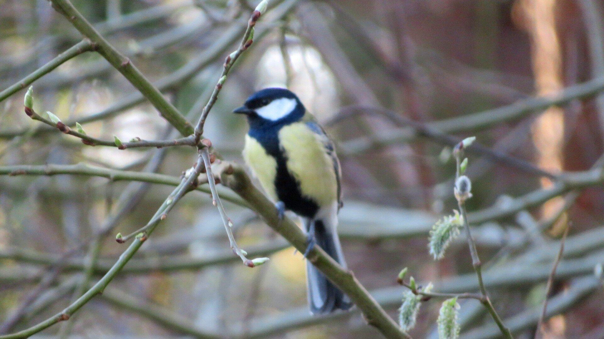 Valokuvaaja: Risto Kangassalo